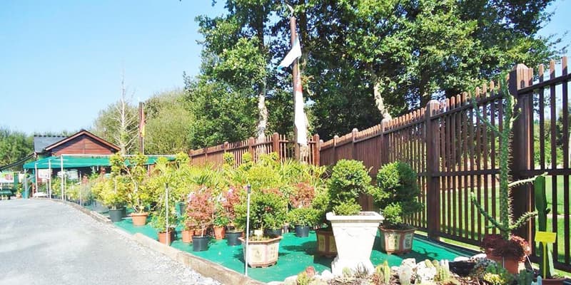 Centro de jardinería de referencia en Rábade