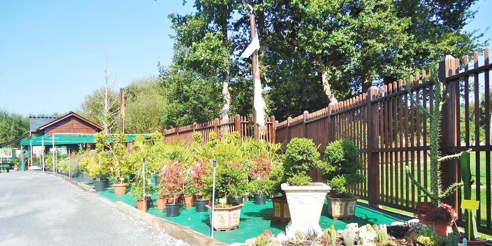 Jardinería Garden's, a su disposición en Rábade