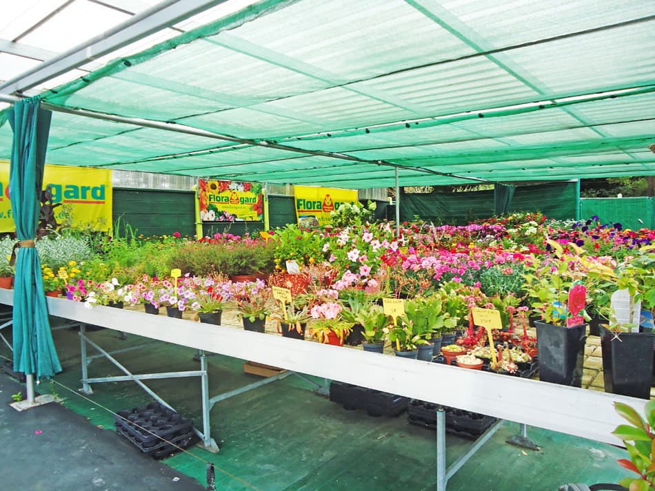 Tenemos todo lo necesario para embellecer su hogar